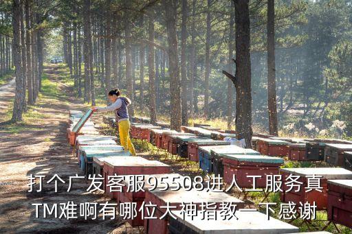 打個(gè)廣發(fā)客服95508進(jìn)人工服務(wù)真TM難啊有哪位大神指教一下感謝