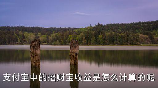 支付寶中的招財(cái)寶收益是怎么計(jì)算的呢