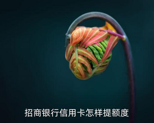 招商銀行信用卡怎樣提額度