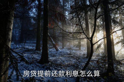 等額本金提前還款利息怎么算，等額本息提前還貸如何計(jì)算