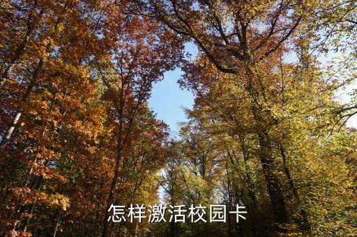 鄭州學(xué)生卡怎么激活，怎樣激活校園卡