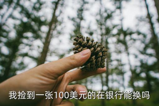 撿到一張美金怎么兌換，我撿了十張美金請(qǐng)問(wèn)在哪里可以兌換