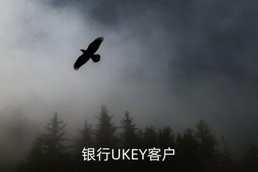 銀行UKEY客戶