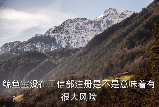 鯨魚寶怎么注冊(cè)不了，鯨魚寶沒在工信部注冊(cè)是不是意味著有很大風(fēng)險(xiǎn)