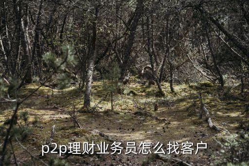 做p2p的怎么找到客戶，P2P網(wǎng)貸如何尋找客戶