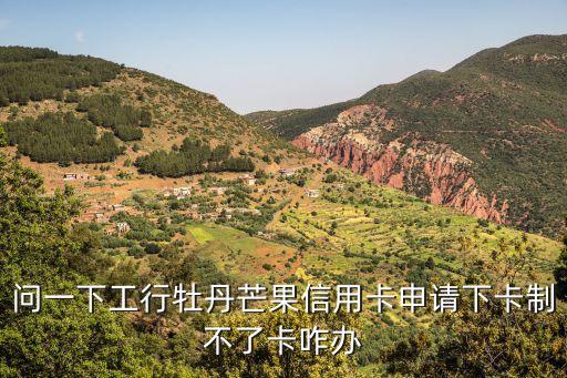 問(wèn)一下工行牡丹芒果信用卡申請(qǐng)下卡制不了卡咋辦