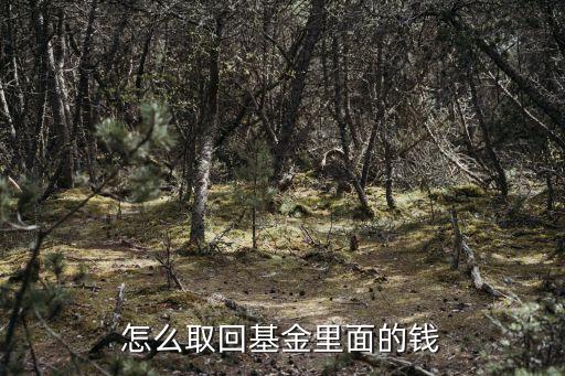 怎么取回基金里面的錢