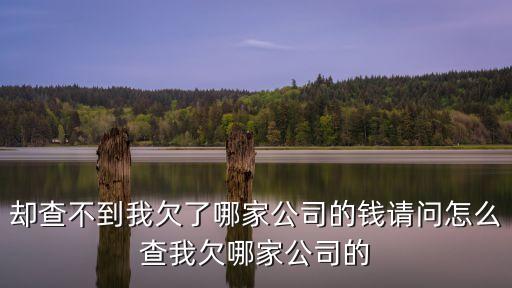 卻查不到我欠了哪家公司的錢請問怎么查我欠哪家公司的