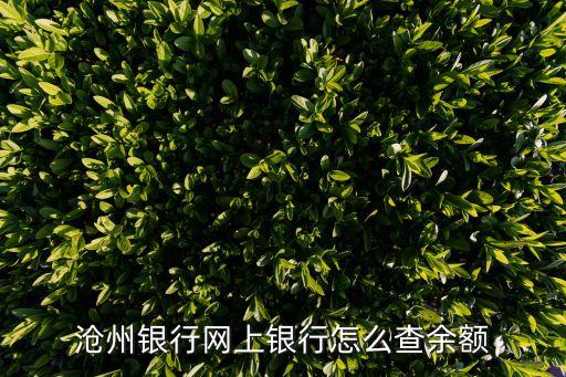 滄州銀行網(wǎng)上銀行怎么查余額