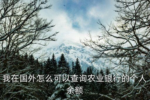去國外怎么查銀行卡余額，在國外怎么能查建行龍卡余額