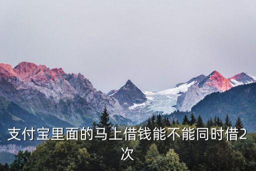 支付寶里面的馬上借錢能不能同時(shí)借2次