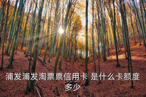 浦發(fā)淘票票卡怎么樣，淘寶申請(qǐng)的浦發(fā)銀行淘票票信用卡好嗎