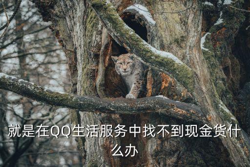 就是在QQ生活服務(wù)中找不到現(xiàn)金貨什么辦