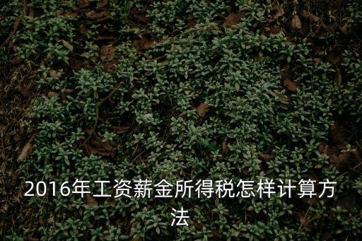 個稅2016年怎么算，2016年個人所得稅收入額怎么計算