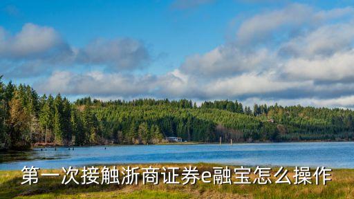 e收寶怎么使用方法，郵政E寶怎么使用