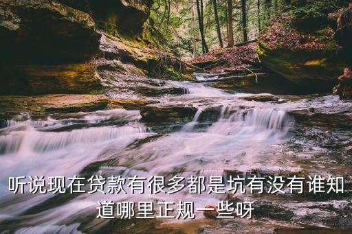 聽說現(xiàn)在貸款有很多都是坑有沒有誰知道哪里正規(guī)一些呀
