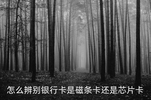 怎么辨別銀行卡是磁條卡還是芯片卡
