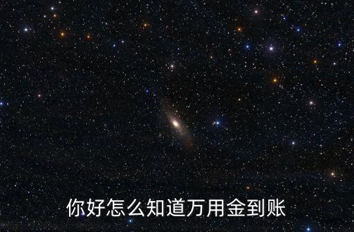 你好怎么知道萬用金到賬