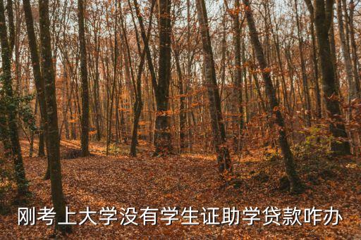 剛考上大學(xué)沒有學(xué)生證助學(xué)貸款咋辦