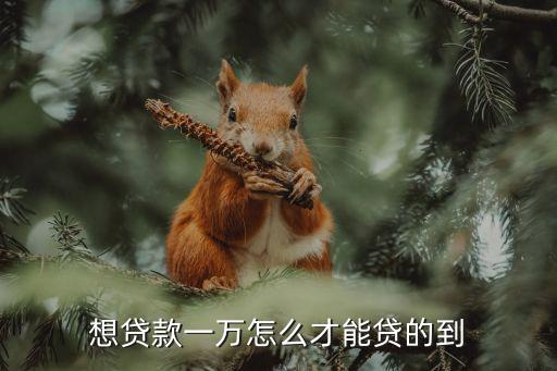 想貸款一萬怎么才能貸的到