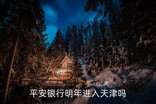 平安銀行明年進入天津嗎