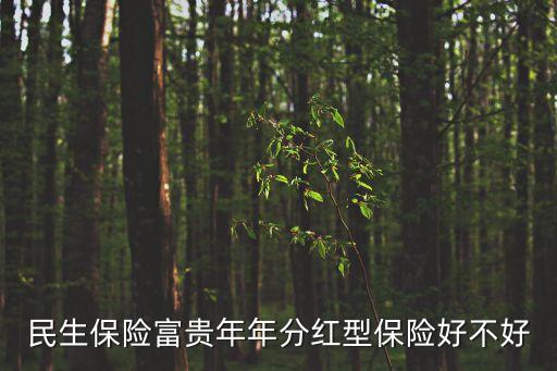 民生保險富貴年年分紅型保險好不好