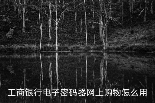 電子密碼器怎么付錢，工商銀行電子密碼器網(wǎng)上購物怎么用