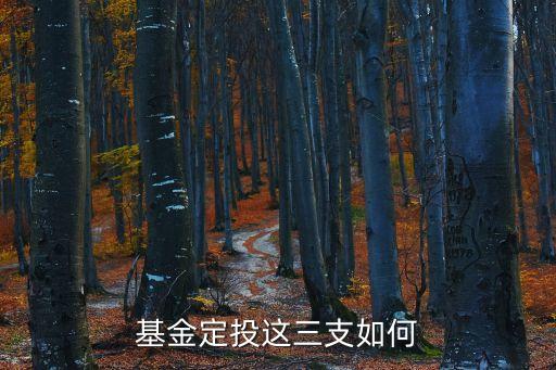 基金定投這三支如何