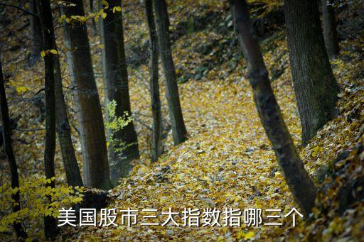 美國(guó)股市3大指數(shù)怎么搜索，美國(guó)股市三大指數(shù)指哪三個(gè)