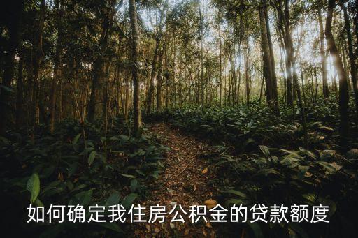 廣西玉林公積金貸款總額怎么定，如何確定我住房公積金的貸款額度