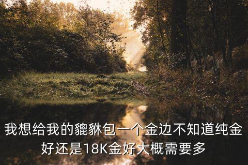 我想給我的貔貅包一個金邊不知道純金好還是18K金好大概需要多