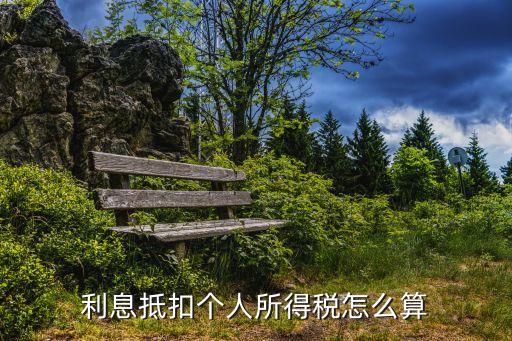 利息抵扣個(gè)人所得稅怎么算