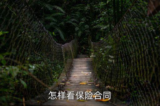 怎樣看保險合同