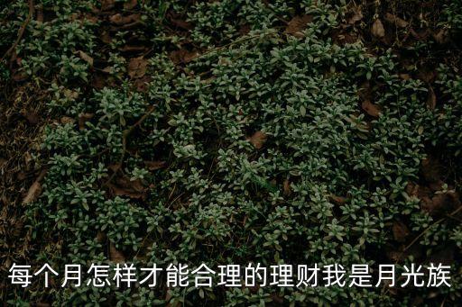 每個月怎樣才能合理的理財我是月光族