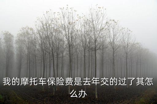 我的摩托車保險(xiǎn)費(fèi)是去年交的過了其怎么辦