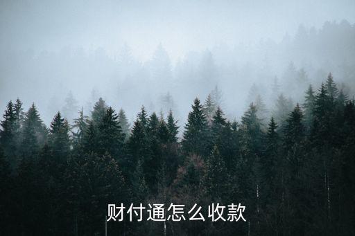 2016財(cái)付通怎么收款，財(cái)付通如何收付款