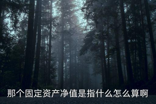 那個(gè)固定資產(chǎn)凈值是指什么怎么算啊