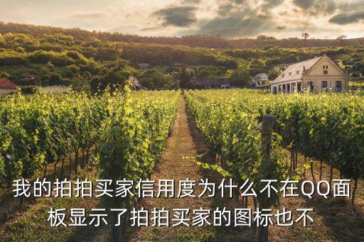我的拍拍買家信用度為什么不在QQ面板顯示了拍拍買家的圖標(biāo)也不