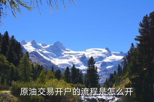 炒石油期貨怎么開(kāi)戶，原油交易開(kāi)戶的流程是怎么開(kāi)