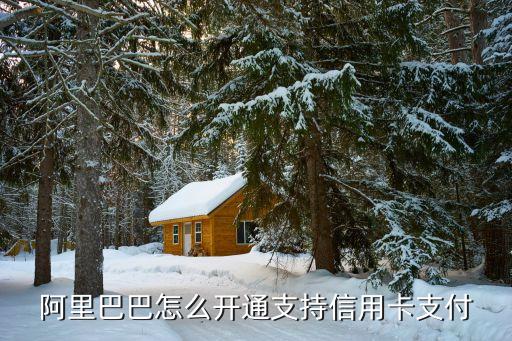 阿里巴巴怎么用信用卡支付，阿里巴巴支持信用卡付款嗎