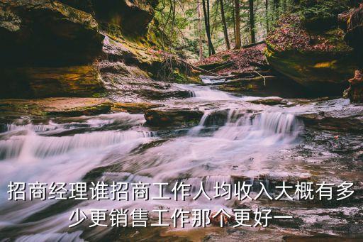 招商經(jīng)理誰招商工作人均收入大概有多少更銷售工作那個更好一