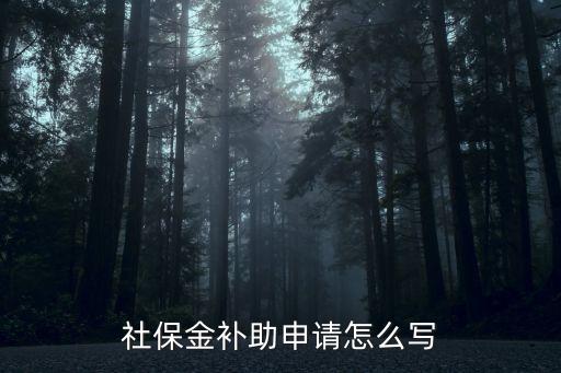 社保金補(bǔ)助申請(qǐng)?jiān)趺磳?xiě)