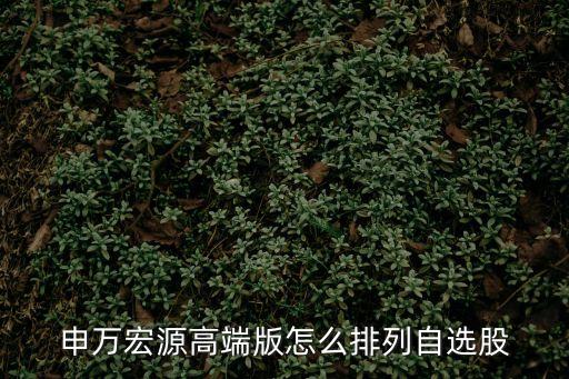 申萬宏源高端版怎么排列自選股