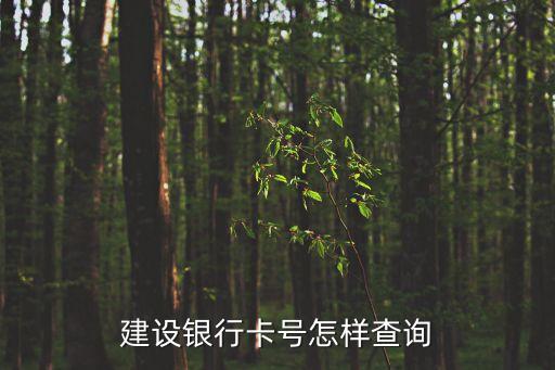 建設(shè)銀行卡號(hào)怎樣查詢
