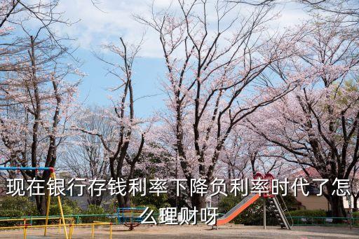 現(xiàn)在銀行存錢(qián)利率下降負(fù)利率時(shí)代了怎么理財(cái)呀
