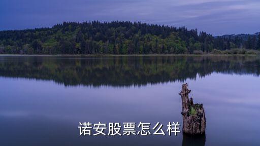 諾安股票怎么樣