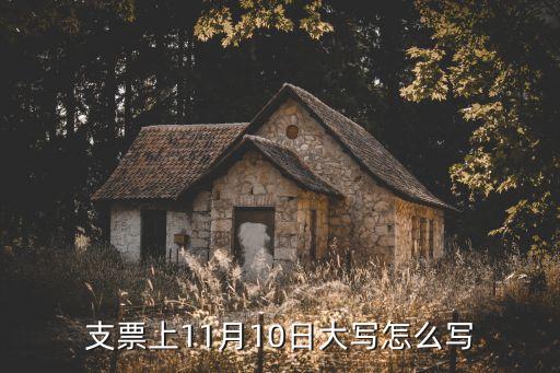 支票上11月10日大寫怎么寫
