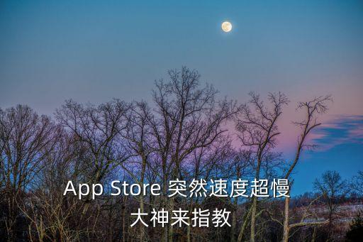 蘋(píng)果商店怎么那么卡，App Store 突然速度超慢 大神來(lái)指教