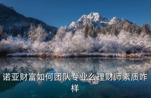諾亞易捷工作怎么樣，諾亞財(cái)富如何團(tuán)隊(duì)專(zhuān)業(yè)么理財(cái)師素質(zhì)咋樣