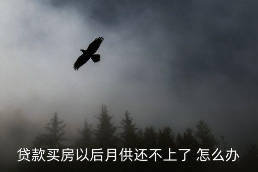 貸款買(mǎi)房以后月供還不上了 怎么辦